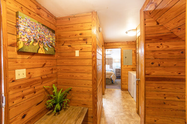 wooden hallway with green plant and washe dryer