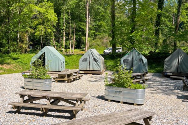 Platform Tent Camping