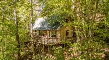 elm cabin exterior of forest and deck