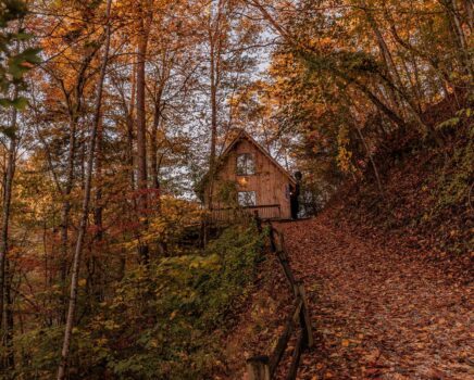 Trailside cabin in the fall