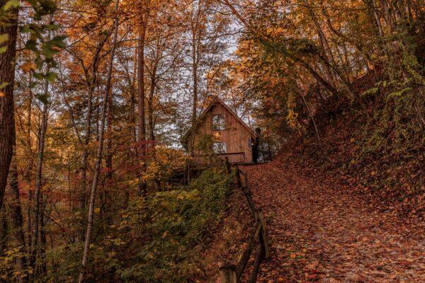 Trailside cabin in the fall