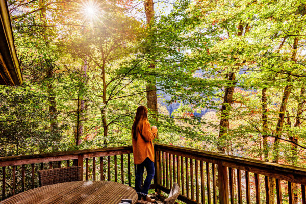 Fall Trailside Cabin