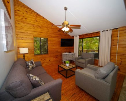 living room in birch cabin