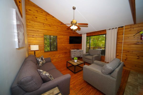 living room in birch cabin