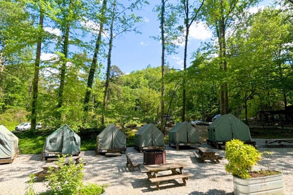 Platform Tent Camping