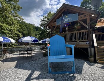 big-wesser-chair