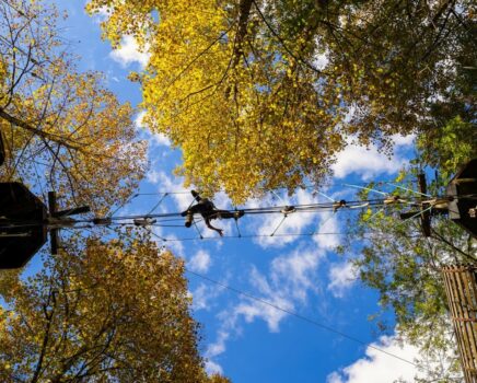 TAPZ in Fall