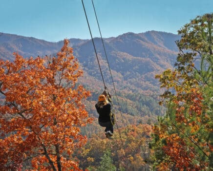 person zip lining through colorful trees in the fall with a mountainscape on the horizon