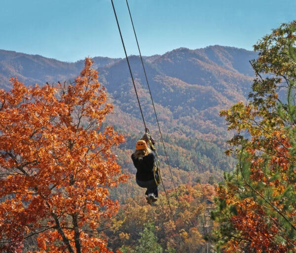 person zip lining through colorful trees in the fall with a mountainscape on the horizon