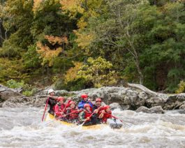 Rafters on the French Broad River Rafting: Full-Day (with Lunch) trip
