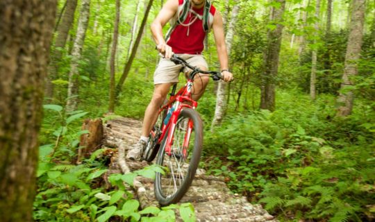 Guest biking on a log bridge