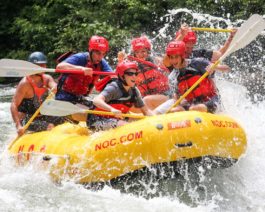 Rafters on the Ocoee River Rafting: Full-Day Combo (with Lunch) trip