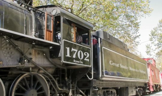 Train on the Rapid Transit: Rafting & Train Excursion Package trip