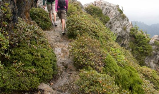 Hiking on the Smoky Mountain Adventure trip