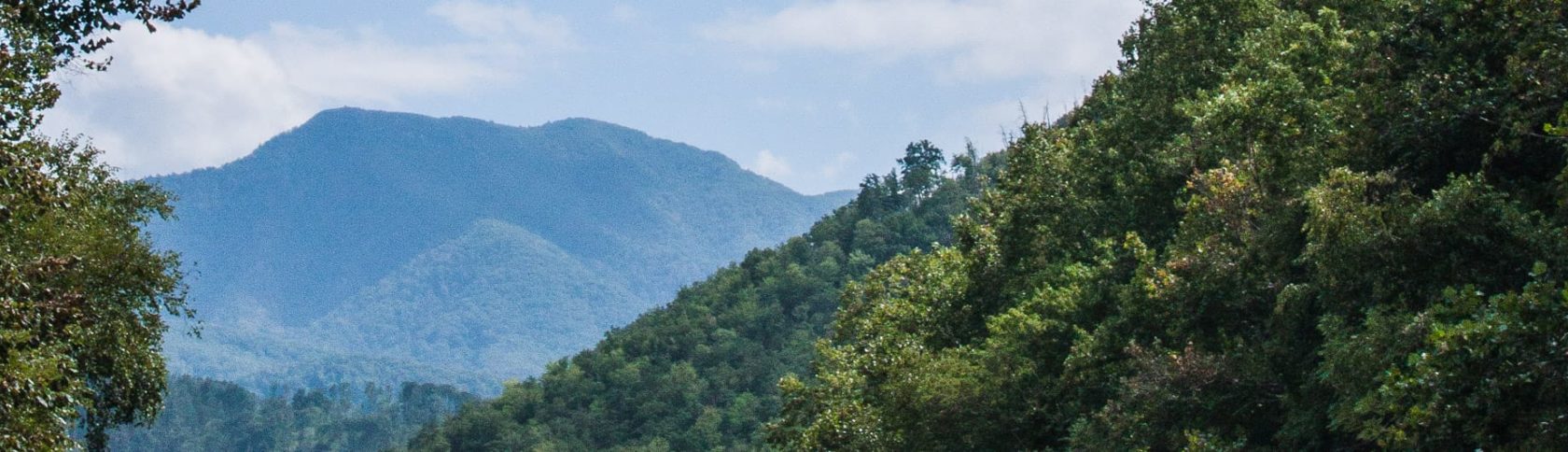 Rafters on the Smoky Mountain Adventure trip going through a scenic area with mountains