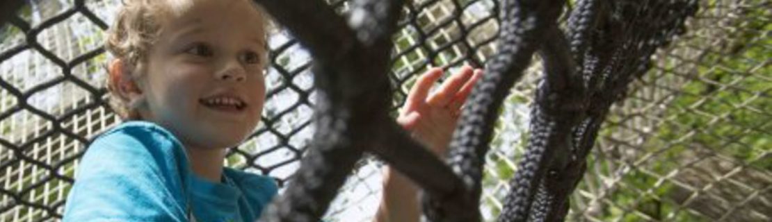 Girl playing on the Treetop Adventure Nets