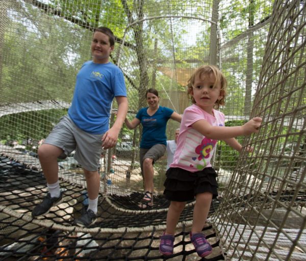 Kids playing on the Treetop Adventure Nets