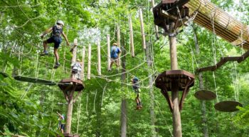 Family on the Zip Line Adventure Park