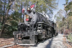 train on the Great Smoky Mountains Railroad Trips