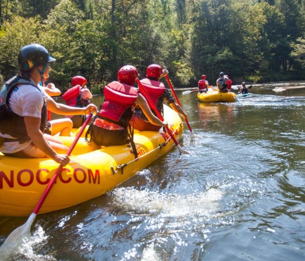 whitewater rafting on the Chattooga River