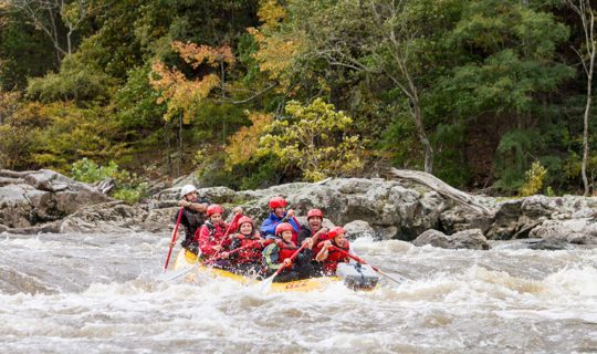 Rafters on the French Broad River Rafting: Full-Day (with Lunch) trip