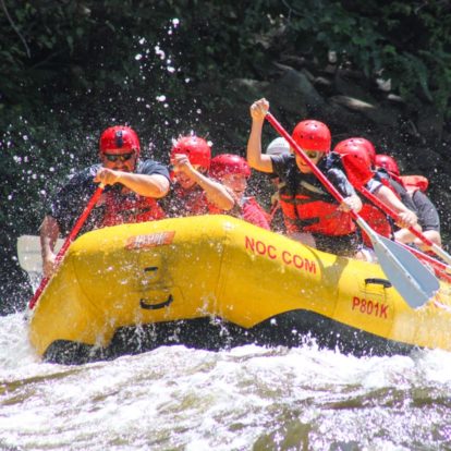 Rafting on the Pigeon river