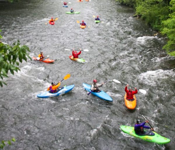 Numerous kayakers boating down a river
