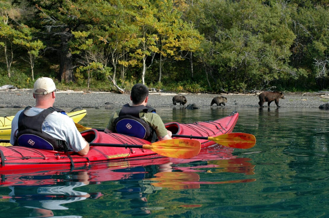 Kayakers viewing bears on the shore.