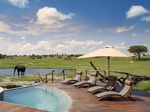 pool and charis on a patio with African backdrop of elephants