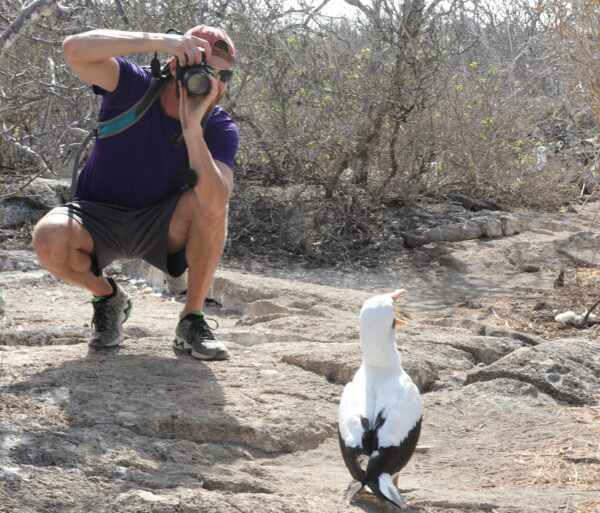 Galapagos photography birds