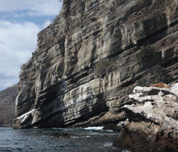 Galapagos trips rocky beach