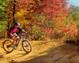 Mountain Biking in the fall