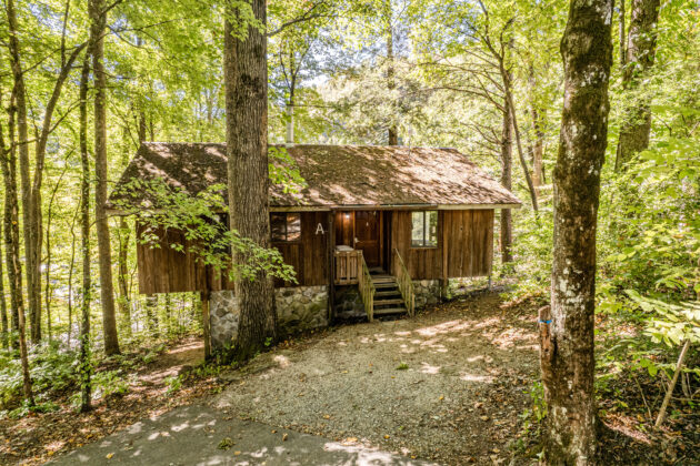 Cabin under a canopy of trees