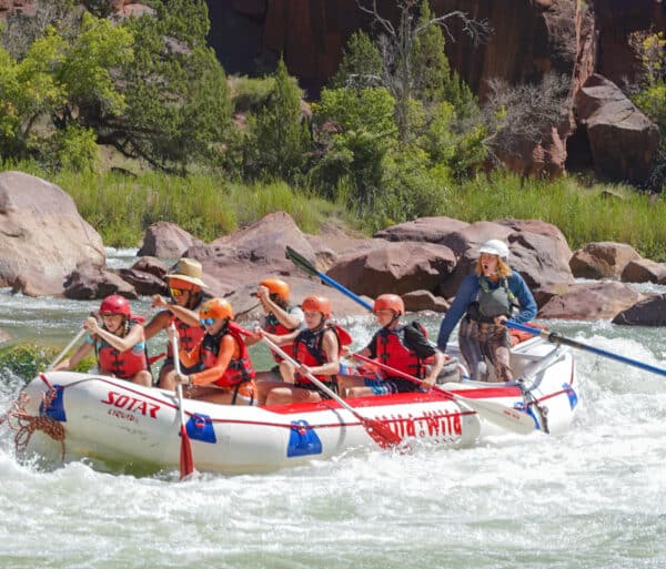 a raft of paddlers goes down the river with rocks and trees in the background