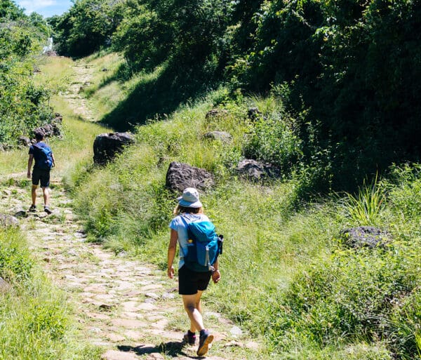 two hikers walk uphill in overgrown grass and jutting rocks in colombia