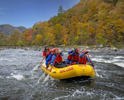 French Broad in the fall