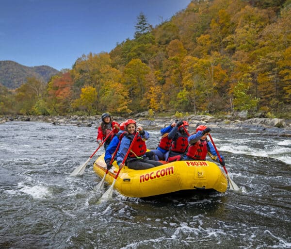 French Broad in the fall
