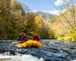 Fall rafting on the Nantahala River with the NOC.