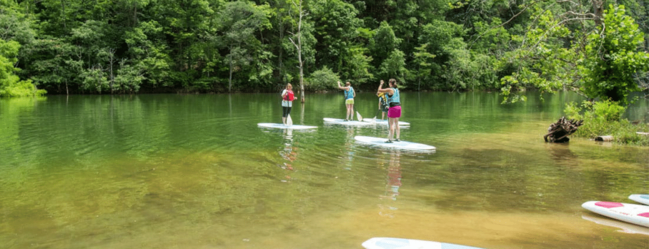four women on stand up paddleboards float on a serene lake with forests of green behind them.