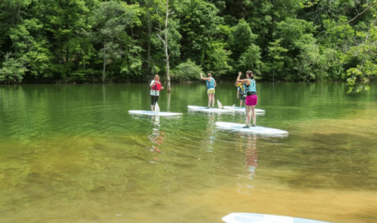 four women on stand up paddleboards float on a serene lake with forests of green behind them.