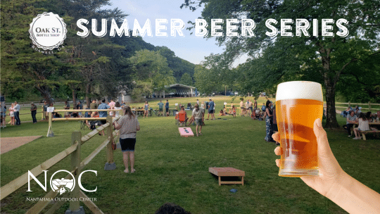 summer-beer-series-1