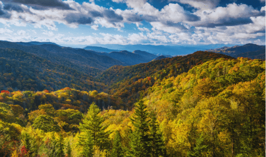 Long range view of rolling mountains with early fall foliage in the Great Smoky Mountains National Park