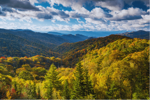 Long range view of rolling mountains with early fall foliage in the Great Smoky Mountains National Park