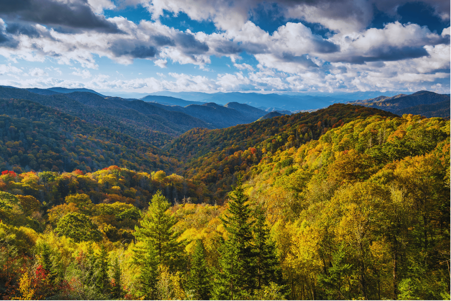 Long range view of rolling mountains with early fall foliage in the Great Smoky Mountains National Park