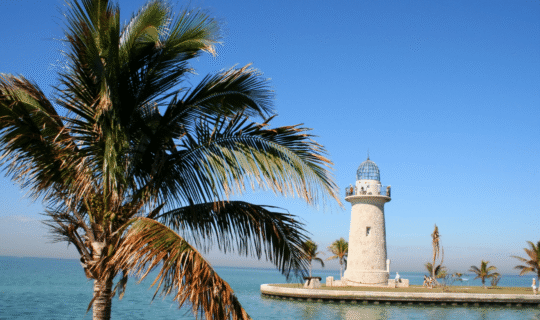 A palm tree against the blue sky with a white lighthouse in the background