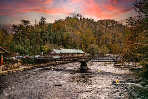 NOC Campus in the fall