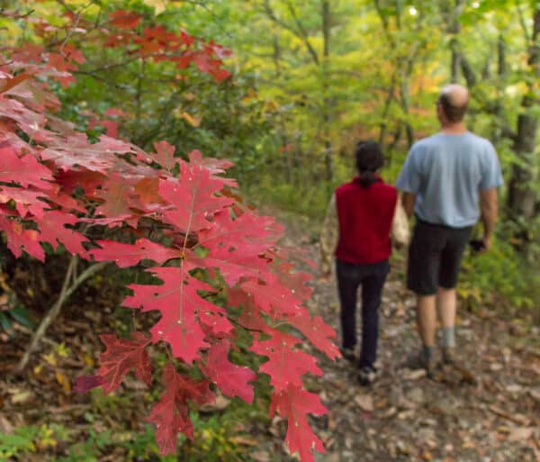 Fall hiking deep creek