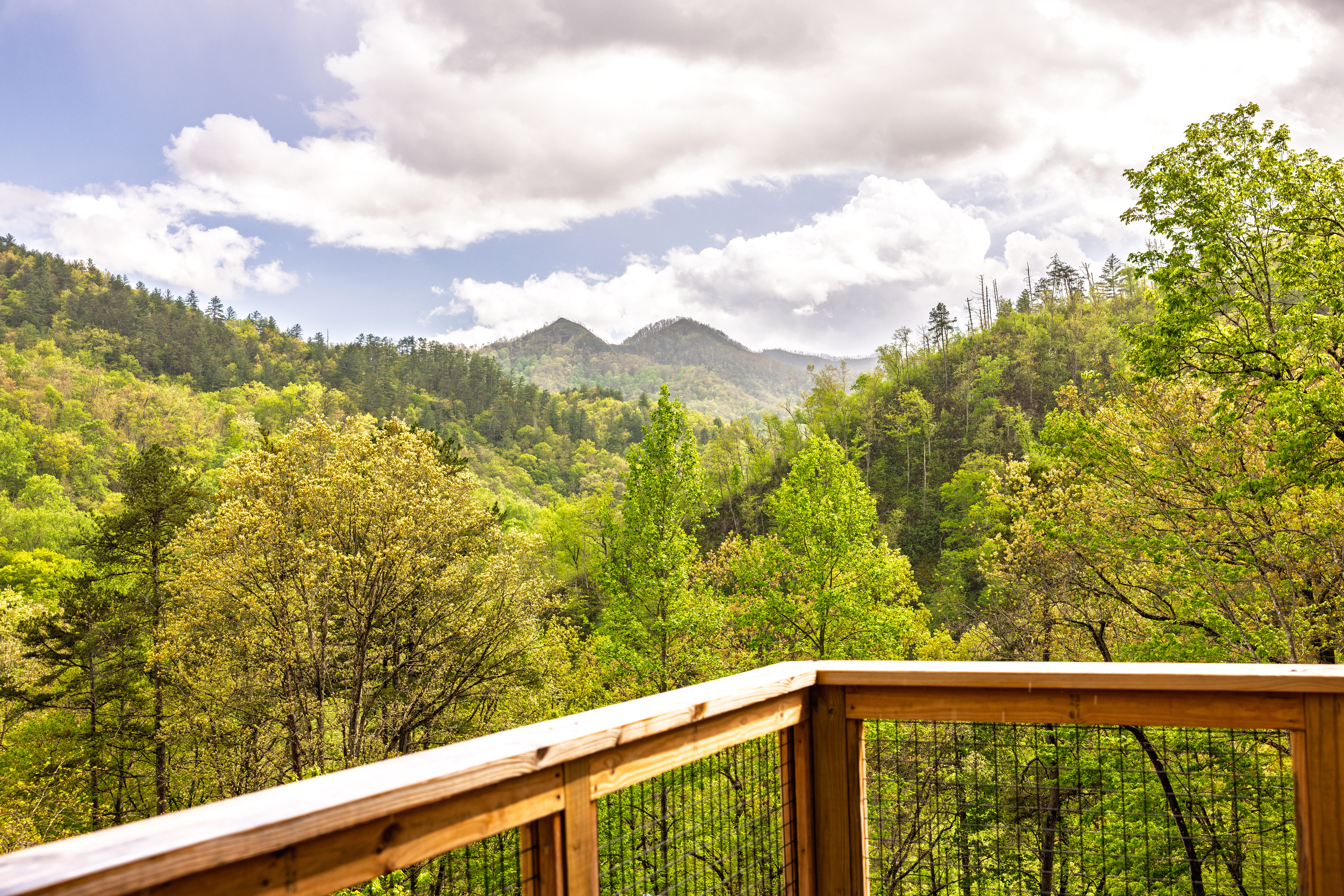 A view from a wooden deck of green trees and mountains