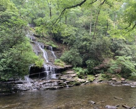 photo-aug-07-2021-10-07-37-am