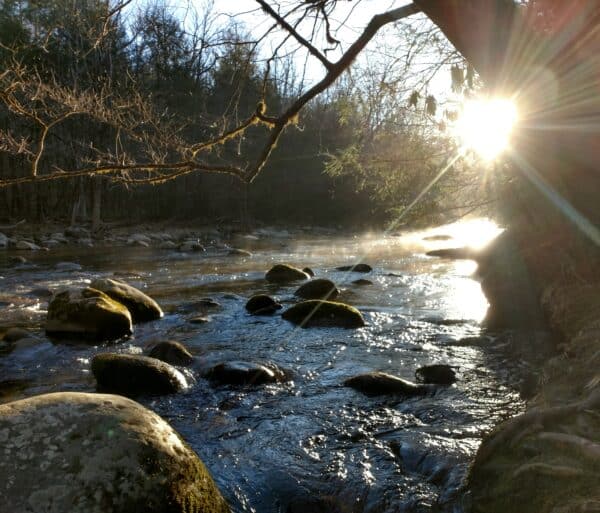 stream-2